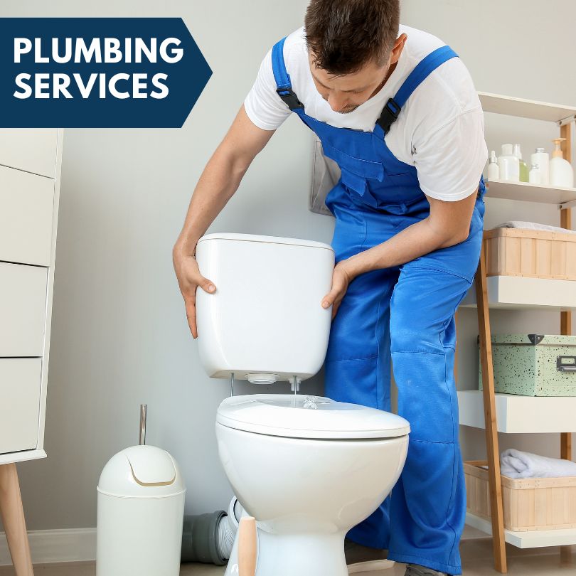 Plumbing Company in Braithwaite, LA
